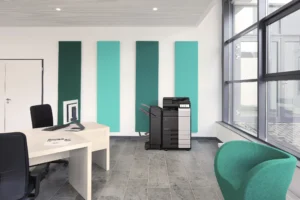 Konica Minolta Bizhub 301i